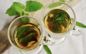 Pure QualiTea Organic